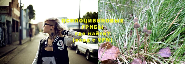 СК Арсеньев