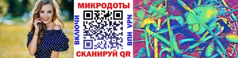 OMG ссылка  где купить наркоту  Канаш  Галлюциногенные грибы GOLDEN TEACHER 